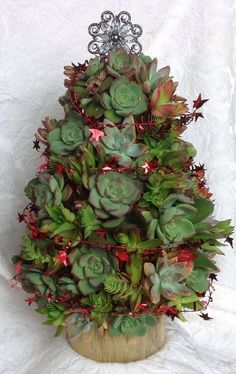 a potted plant with green leaves and red berries on the top is shown in front of a white background