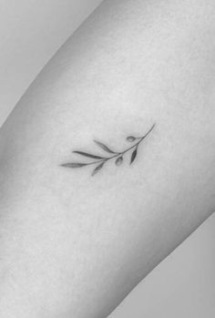 a black and white photo of a small branch tattoo on the right arm, with two leaves coming out of it