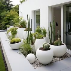 there are many potted plants on the side of this house and it's white color