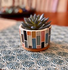 a small potted plant sitting on top of a table