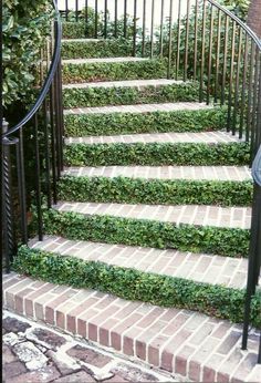 the stairs are covered with green plants and brick steps that lead up to an iron railing