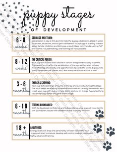 the puppy stages of development poster is shown in black and white with paw prints on it