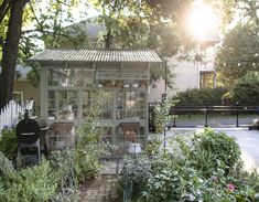 a small garden with lots of green plants