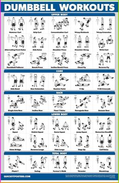 Transform your fitness routine with our Learning Dumbbell Workout Exercise Poster – a comprehensive visual guide that maximizes your gains. #fitness #fitnesstips #dumbbell #fitnessaddict #fitnessandnutrition #amazon #amazondeals #amazonprime #poster #workout #workoutathome Dumbbell Workout Poster, Dumbell Workout Week Plan, Dumbell Floor Workout, Abs Dumbells Workout, List Of Workouts Exercises, Daily Dumbbell Workout Plan, Dumbbell Only Full Body Workout, Arms Workout Dumbell, Gym Blueprint