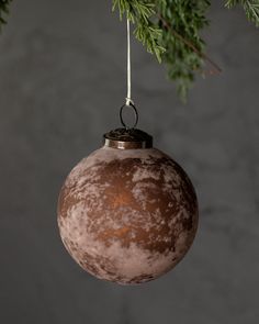 an ornament hanging from a tree branch with the moon on it's side