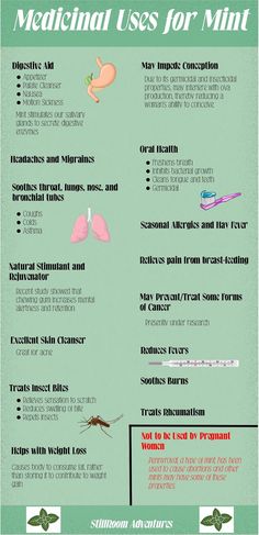 the health benefits of mosquitoes info sheet