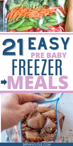 freezer meals that are easy to make and great for babys, toddlers, and adults