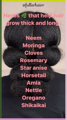 Herbs For Hair Growth, Herbs For Hair, Healthy Natural Hair Growth, Help Hair Grow, Twisted Hair, Hair Care Growth