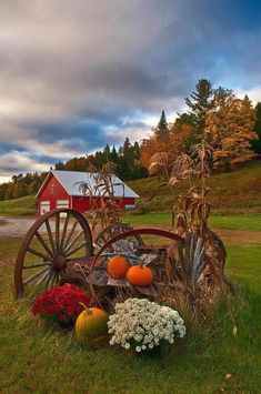 an old wagon filled with pumpkins and gourds in front of a red barn