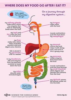 an info poster showing the different types of food and how they are used to eat