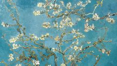 an almond blossoming tree against a blue background