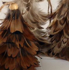 three feathers are arranged together on the floor