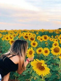 a woman standing in a field of sunflowers looking at the sky with her back to the camera