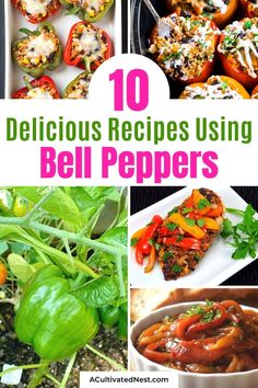 10 delicious recipes using bell peppers to make them taste good and tasty for lunch or dinner