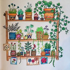 a drawing of potted plants and flowers on a shelf with pictures hanging from it