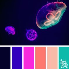 some jellyfish are swimming in the water and color swatches have been used to create this image