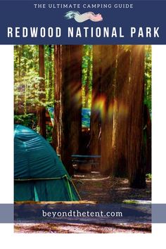 the ultimate camping guide for redwood national park