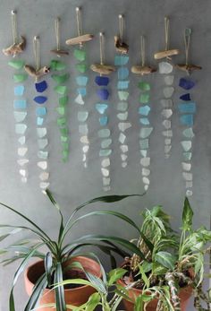 some plants are sitting in front of a wall with glass pebbles hanging from it's sides