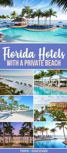 florida hotels with a private beach in the middle and palm trees on the other side