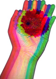 a person's hand holding a colorful flower