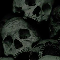 a pile of skulls sitting next to each other