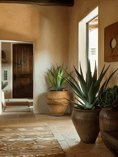 two large potted plants sitting on top of a tiled floor next to a doorway