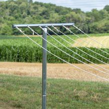 an electric pole in front of a corn field