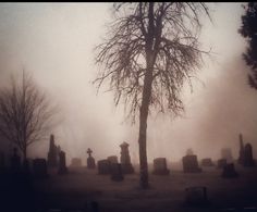 a foggy graveyard with tombstones and trees