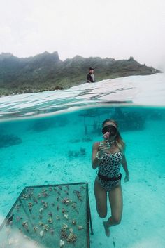 Sea Biology, Moorea Tahiti, Moorea French Polynesia, French Polynesian Islands, Tropical Travel Destinations, Scuba Diving Photography