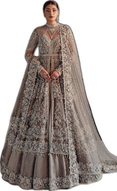 Pearl Dress, Net Fabric, Net Dupatta, Pakistani Bridal, Model Dress, Bridal Wedding Dresses, Embellished Dress, Signature Design, How To Dye Fabric