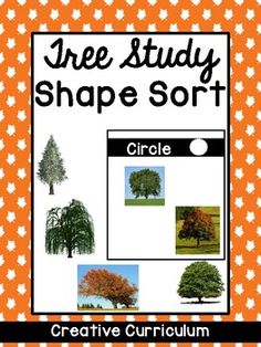 the tree study shape sort is shown in an orange and white checkerboard background