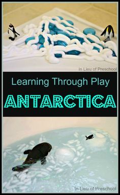 an animal in a bathtub with the words learning through play antarctica