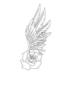 a drawing of a rose with feathers on it