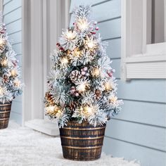 two potted christmas trees with lights on them in front of a blue house covered in snow