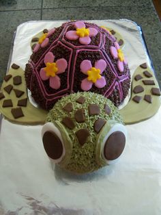 a cake shaped like a turtle with chocolate decorations on it's shell and eyes