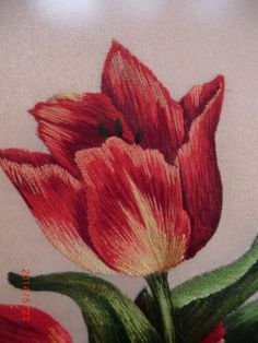 a drawing of two red flowers with green stems