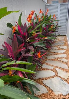 colorful plants line the side of a building