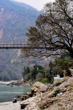 a bridge over a river with people walking on the shore and trees in the foreground