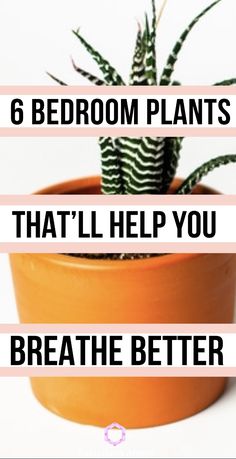 a potted plant with the words 6 bedroom plants that'll help you breathe better