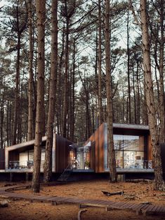 two cabins in the woods surrounded by trees