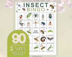 an insect bingo game with insects and bugs on it