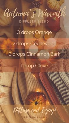 Cozy Oil Diffuser Blends, Fall Diffuser Blends Young Living, Aromatherapy Oil Blends, Fall Essential Oil Blends, Fall Essential Oils, Young Living Essential Oils Recipes