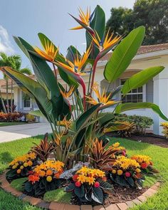 a tropical garden in front of a house with yellow and orange flowers on the ground