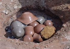 some rocks and clay in a hole on the ground