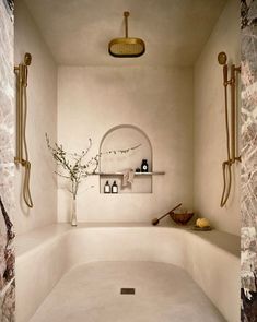 a bath room with a toilet and a plant on the counter next to it's shower