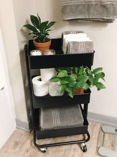 a shelf with towels, plants and toilet paper on it