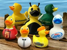 rubber ducks are lined up on the dock