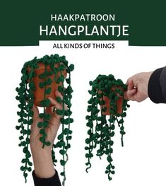 two hands are holding a potted plant with green leaves on it and the words hakapa'oon hangplante all kinds of things