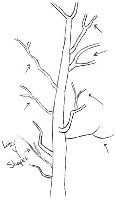 a drawing of a tree with arrows pointing to the top and bottom branches on it