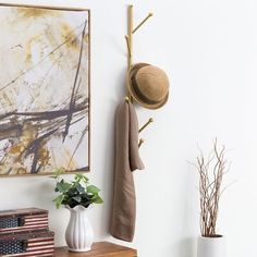 a coat rack and hat hanger on a wall next to a potted plant